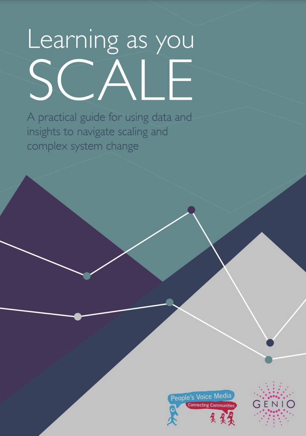 Learning as you SCALE: A Practical Guide for using Data and Insights to ...
