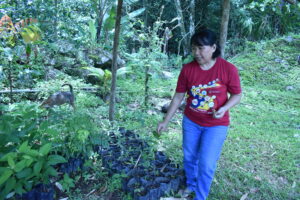 Learning visit in Sabah