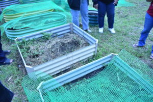 Plant beds.