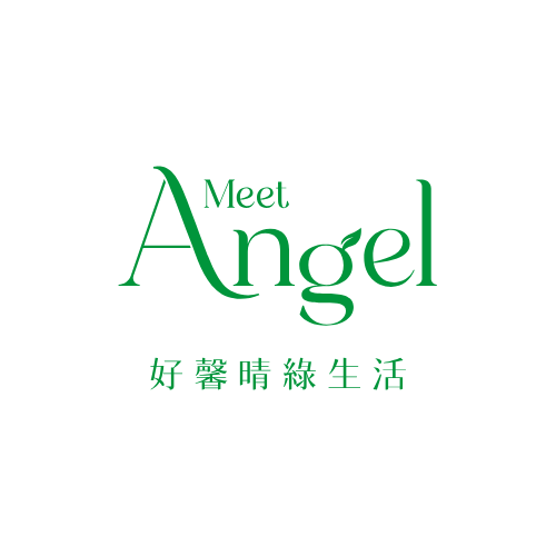 Meet Angel logo