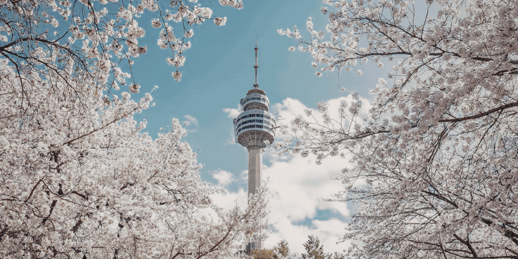 A gif showing images of Seoul, Korea and the Ecosystem Leadership Exchange logo